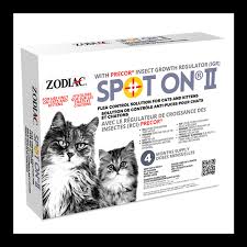 Contrôle anti-puces pour chat et chatons