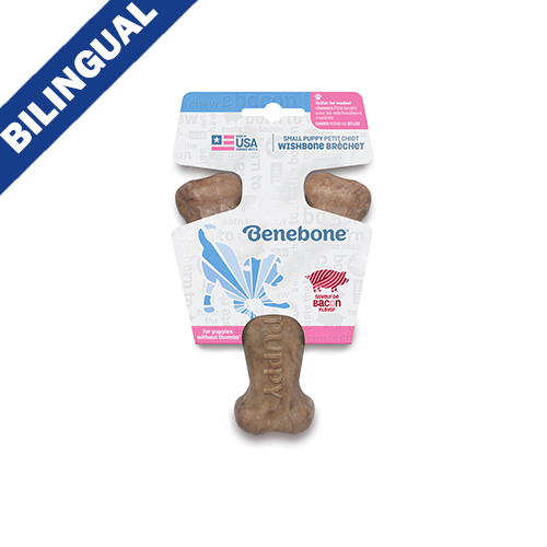 Jouet à mâcher pour Chiots Bacon 'Wishbone' Benebone