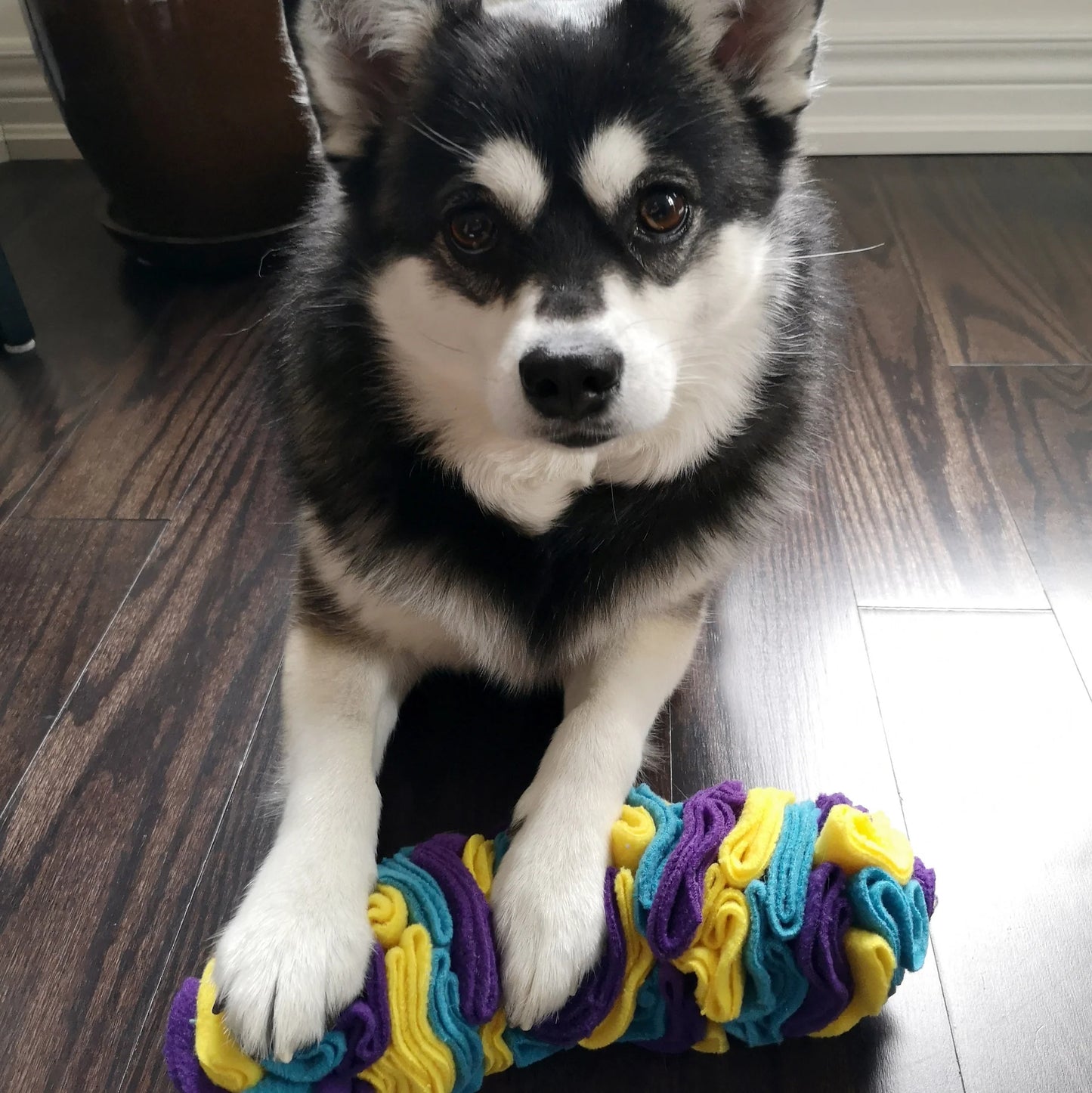 Tapis de détection d'odeurs en forme de bâton
