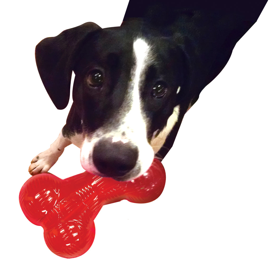 Jouet spot play strong en forme d'os