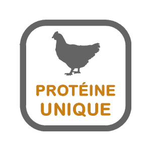 Nourriture pour Chien Pulsar Horizon Sans Grains Dinde