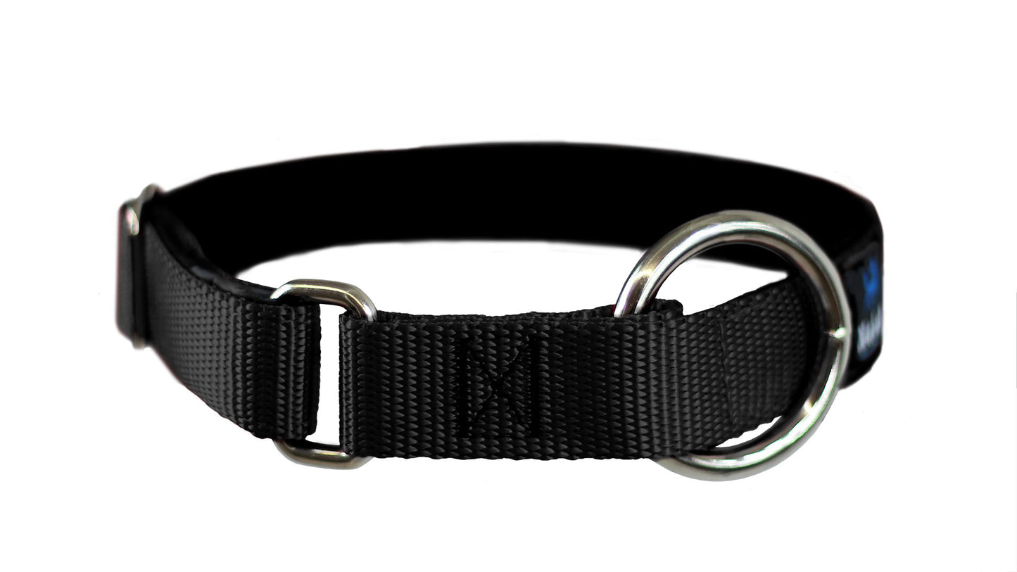 Collier pour chiens/ rembourré