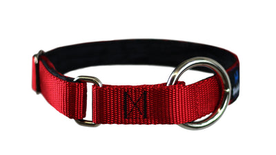 Collier pour chiens/ rembourré