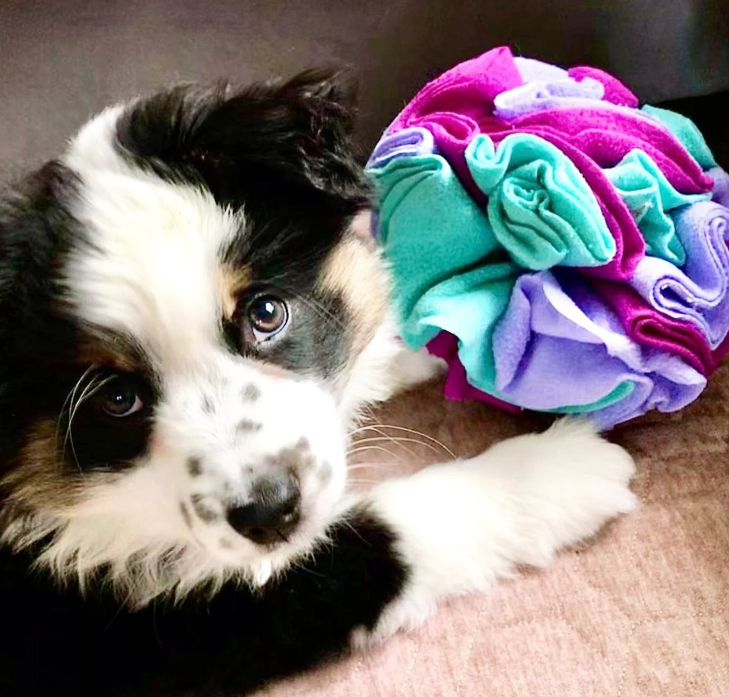 Tapis de détection d'odeurs en forme de balle