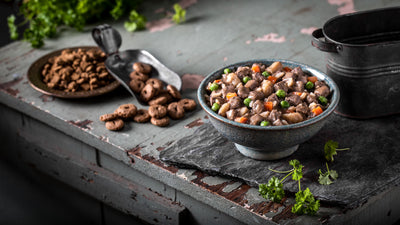 Nourriture En Conserve Pour Chien *Agneau Frommbalaya*- Fromm