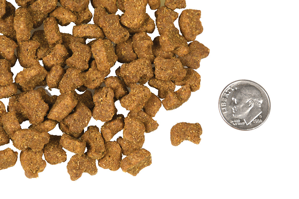 Nourriture pour Chien Sans Grains Agneau et Lentilles - 4STAR FROMM
