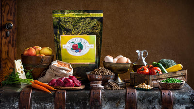 Nourriture Sèche Pour Chien Sans Grains *Agneau et Lentilles* - Fromm Four-Star