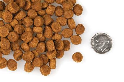 Nourriture Sèche Pour Chien Sans Grains *Porc et Pois* - Fromm Four-Star