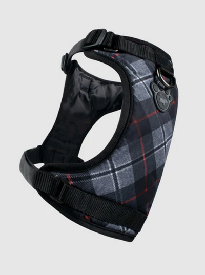 Harnais 3 en 1 Canada Pooch Carrroté Gris et Rouge