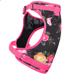 Harnais 3 en 1 Canada Pooch Floral