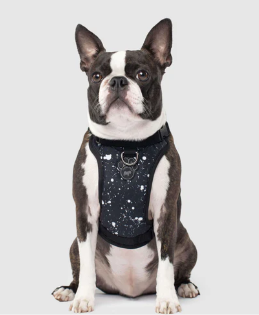 Harnais 3 en 1 Canada Pooch Splash