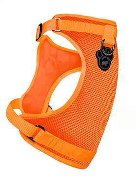 Harnais 3 en 1 Canada Pooch Orange