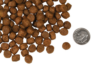 Nourriture Sèche Pour Chien Sans Grains *Saumon Tunalini* - Fromm Four-Star