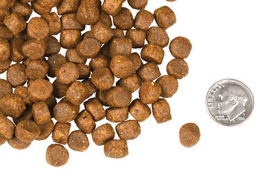 Nourriture Sèche Pour Chien Sans Grains *Pré Et Marée* - Fromm Four-Star