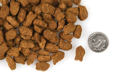 Nourriture Sèche Pour Chien *Truite et Poisson Blanc* - Fromm Four-Star