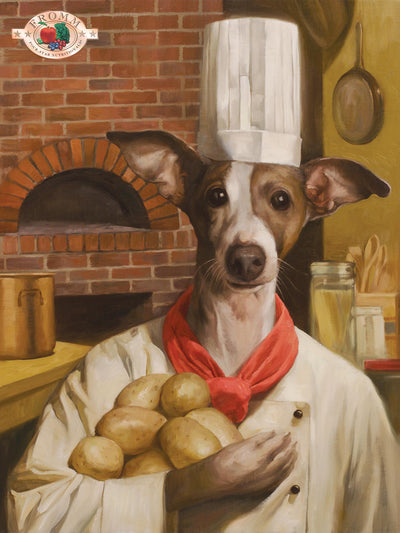 Nourriture Sèche Pour Chien Sans Grains *Boeuf Frittata à la Végé* - Fromm Four-Star