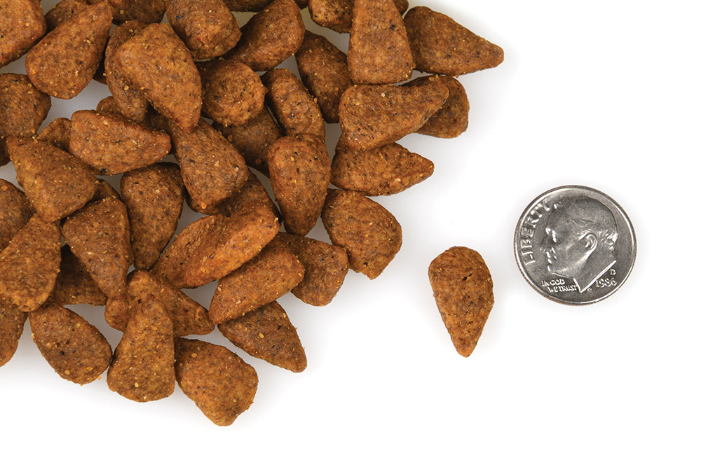 Nourriture Sèche Pour Chien Sans Grains *Poulet au Fromage* - Fromm Four-Star