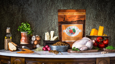 Nourriture Sèche Pour Chien Sans Grains *Poulet au Fromage* - Fromm Four-Star