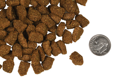 Nourriture Sèche Pour Chien *Highlander au Boeuf* - Fromm Four-Star