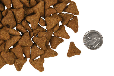 Nourriture Sèche Pour Chien *Poisson Blanc et Patates* - Fromm Four-Star