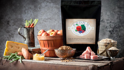 Nourriture Sèche Pour Chien Porc et Pommes - Fromm Four-Star