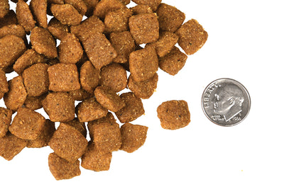 Nourriture Sèche Pour Chien *Poulet à la Végé* - Fromm Four-Star