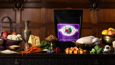 Nourriture En Conserve Pour Chien *Canard à la Végé* - Fromm