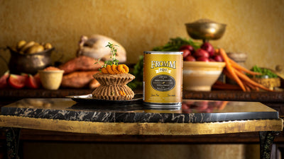 Nourriture En Conserve Pour Chien *Poulet et Patates Douces* - Fromm