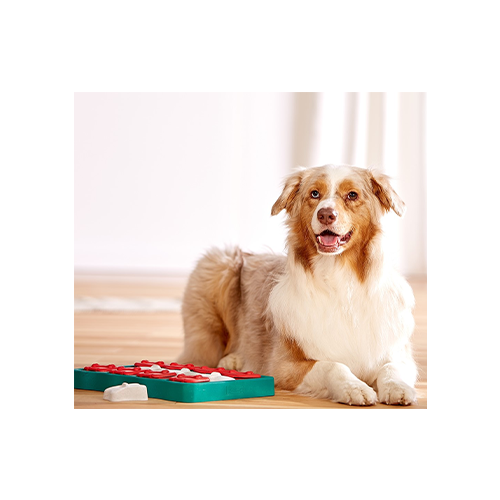 Jouet Interactif Casse-Tête Dog Brick - Nina Ottosson