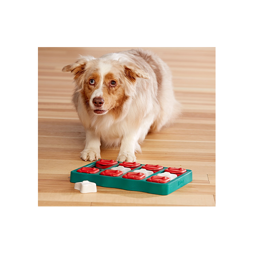 Jouet Interactif Casse-Tête Dog Brick - Nina Ottosson