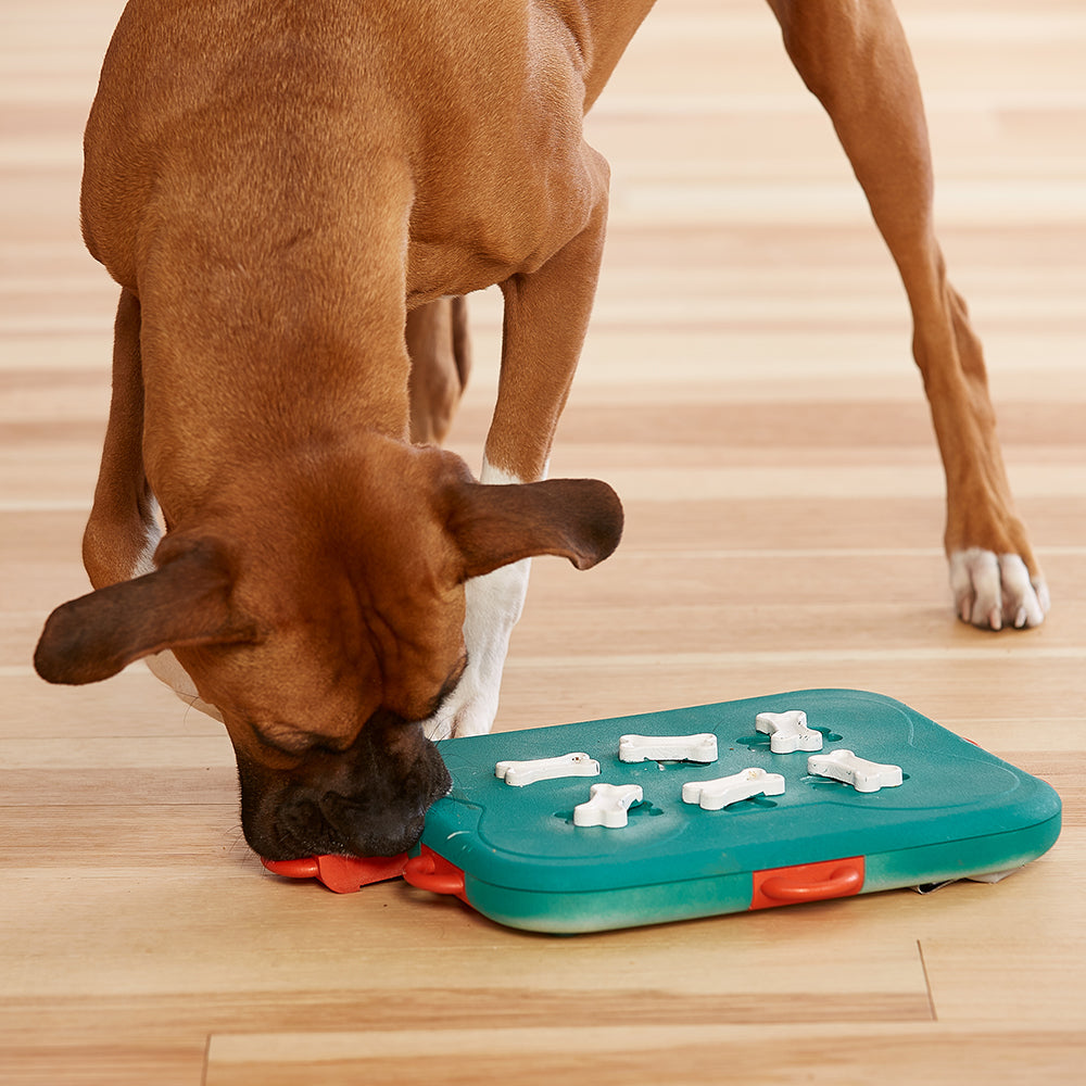 Jouet Interactif Casse-Tête Dog Casino - Nina Ottosson