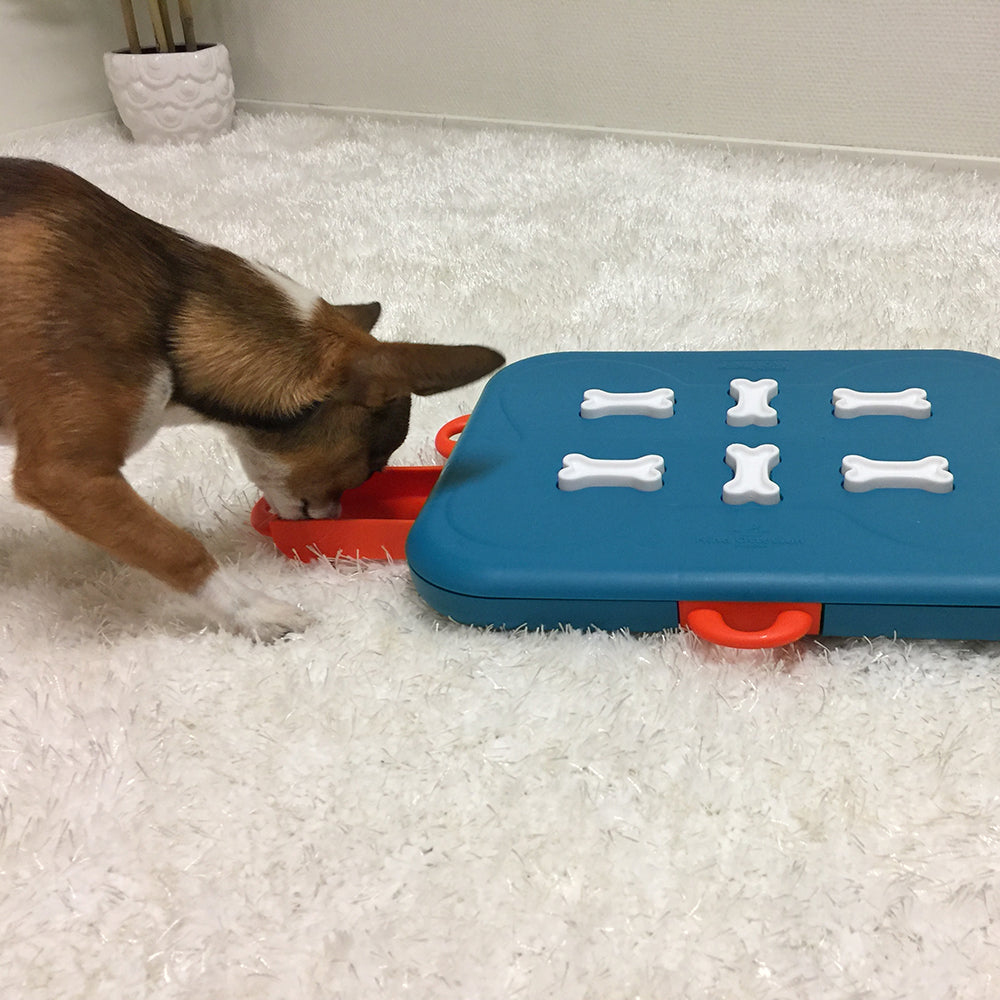 Jouet Interactif Casse-Tête Dog Casino - Nina Ottosson