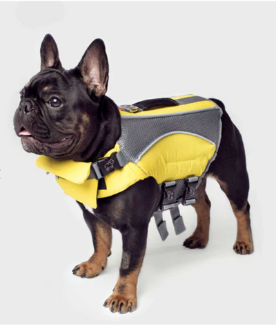 Veste de Flottaison - Jaune - Canada Pooch