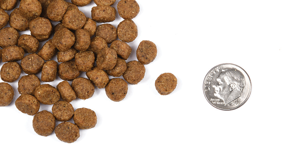 Nourriture pour Chien FROMM Classique Chiot