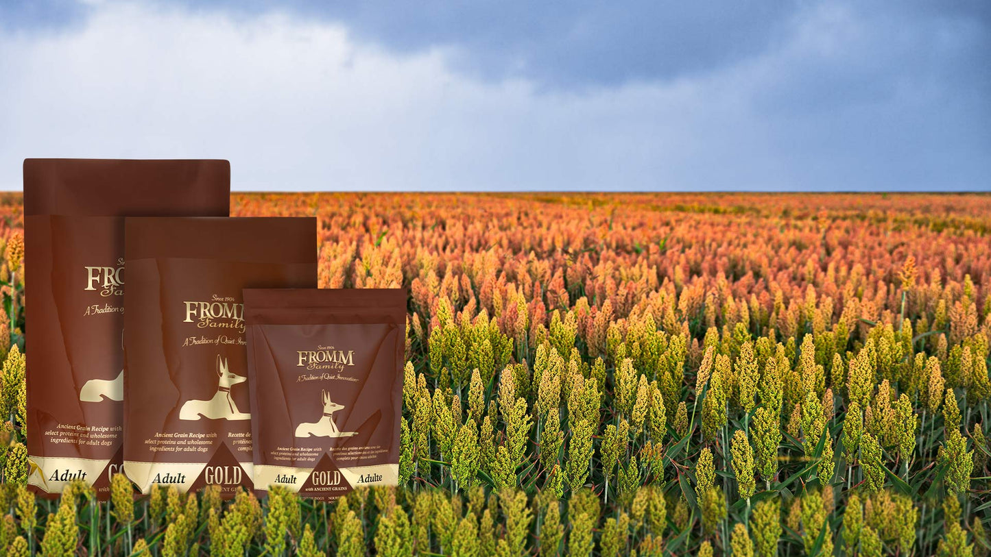 Nourriture pour Chien FROMM Gold Grains Ancients