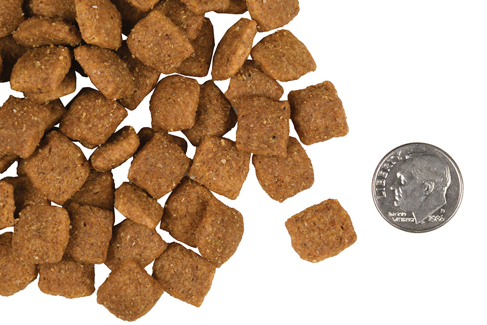 Nourriture Sèche Pour Chien Gold Adulte - Fromm