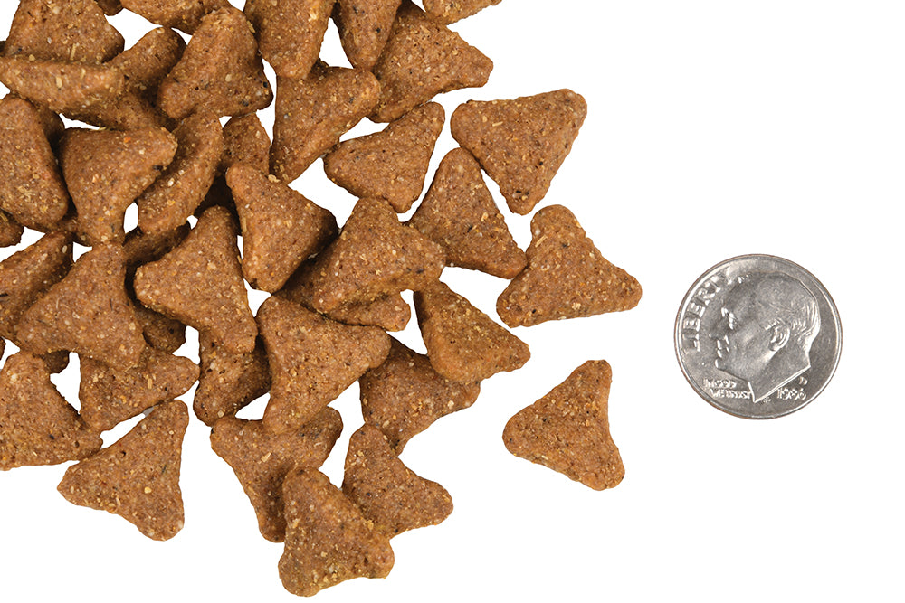 Nourriture pour Chien FROMM Gold Grains Ancients