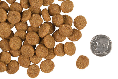 Nourriture Sèche Pour Chien Gold Adulte Grande Race - Fromm