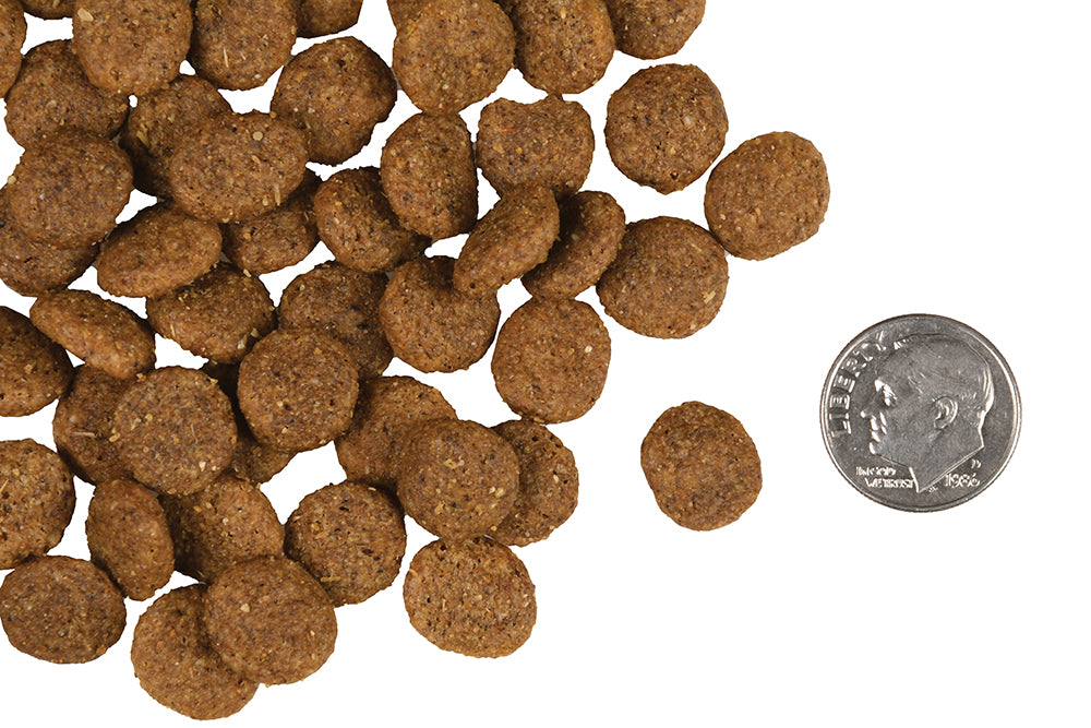 Nourriture Sèche Pour Chien Gold Activité Réduite - Fromm