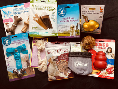 Ensemble de départ chiots Grandes Races