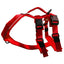 Harnais Atlas Pour Chien Le Chien Blanc