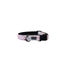 Collier Pour Chien Amarok