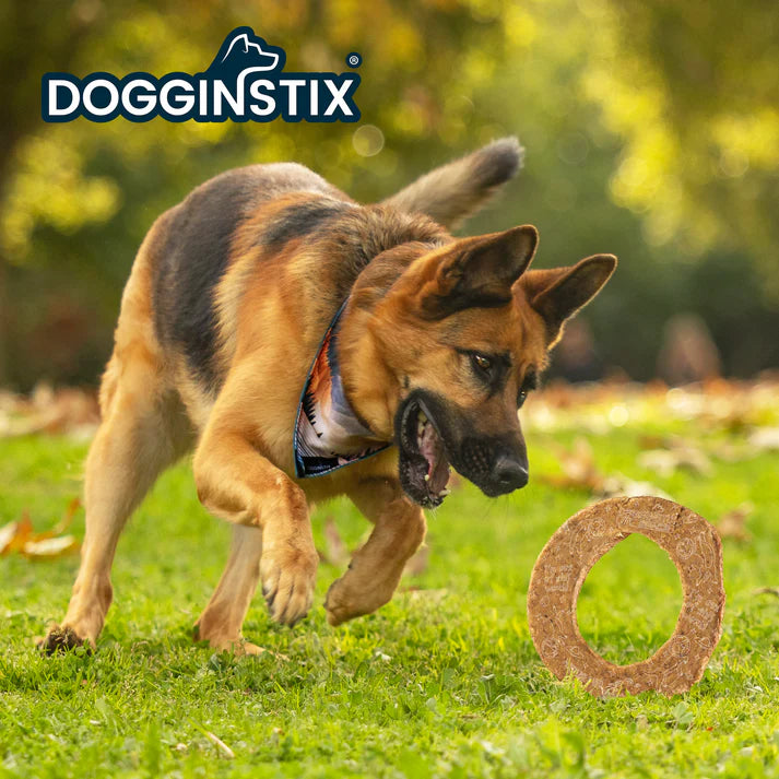 Disque De Collagène d'Agneau pour Chien - DOGGINSTIX