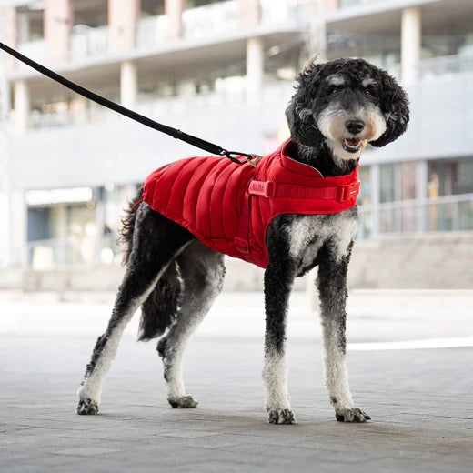 Manteau Pour Chien ''Harness Puffer'' - Canada Pooch