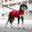 Manteau Pour Chien ''Harness Puffer'' - Canada Pooch