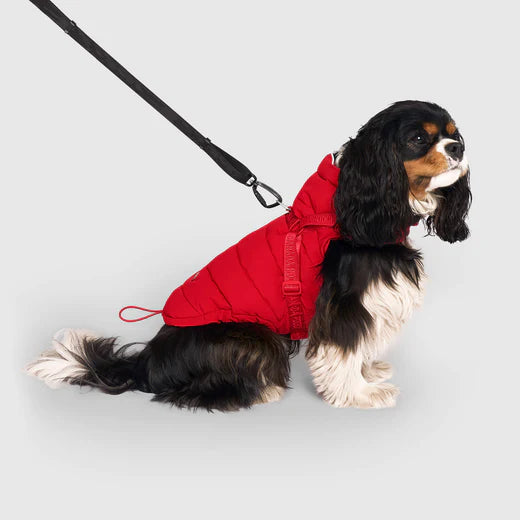 Manteau Pour Chien ''Harness Puffer'' - Canada Pooch