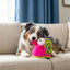 Jouet Escargot Kong 'rattle tropics' Moyen/Grand