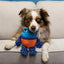 Jouet Grenouille Kong 'rattle tropics' Moyen/Grand
