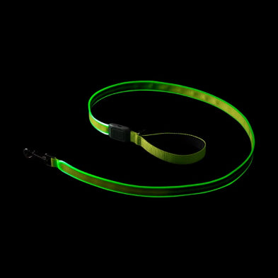 Laisse Lumineuse De 48'' Pour Chien Nite ize
