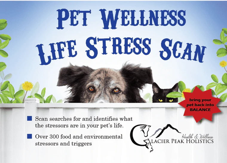 Test D'Allergie Pour Chien Et Chats Glacier Peak Holistics